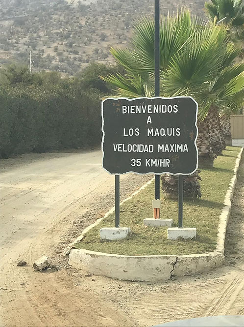 Parcela los Maquis / Curacavi