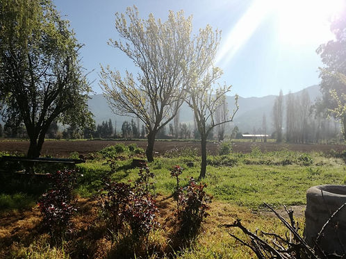Parcela la Cabras